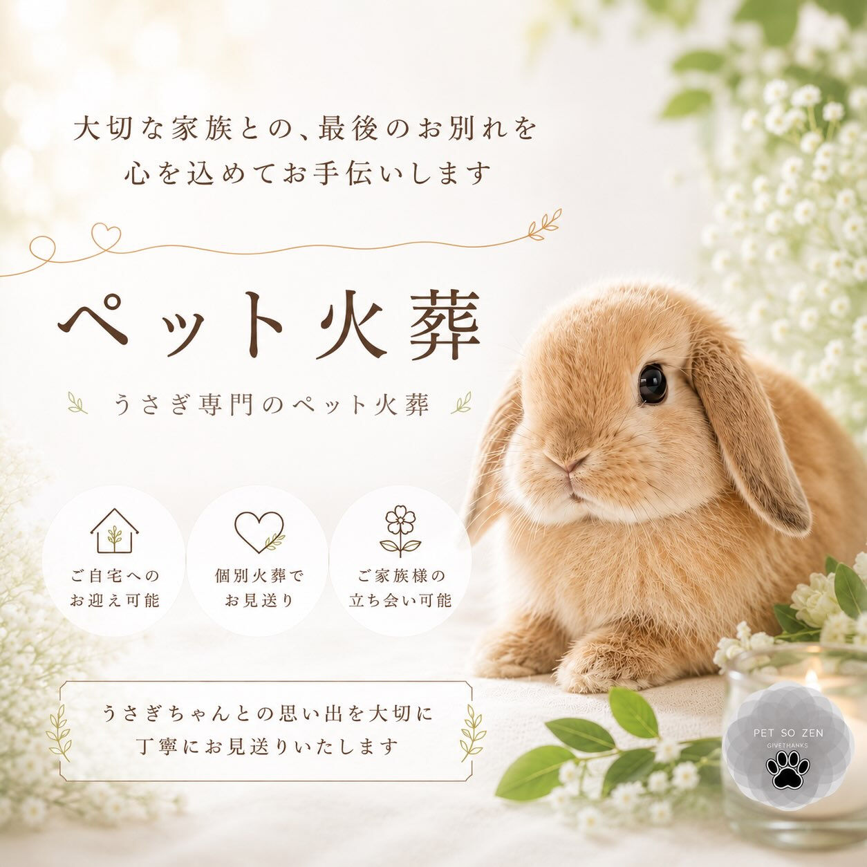 [うさぎちゃん]